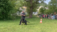 policie v žb2